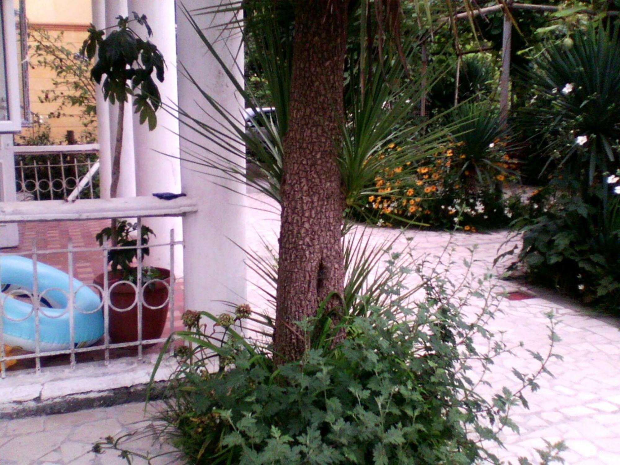 White Guest House Batum Dış mekan fotoğraf