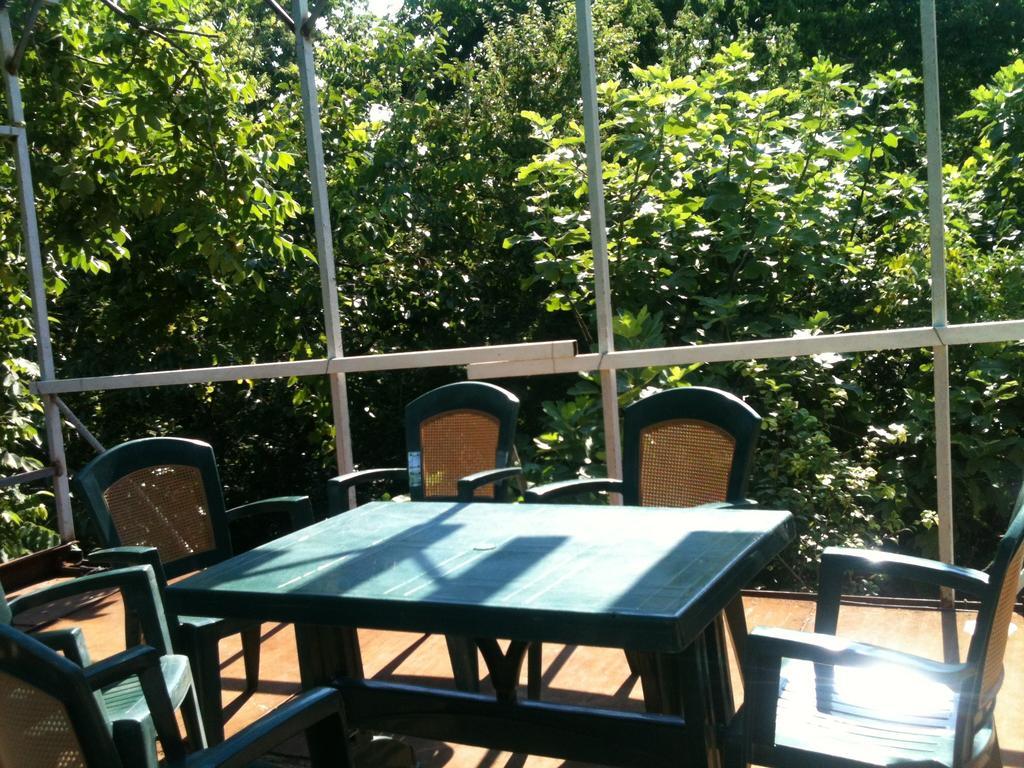 White Guest House Batum Dış mekan fotoğraf