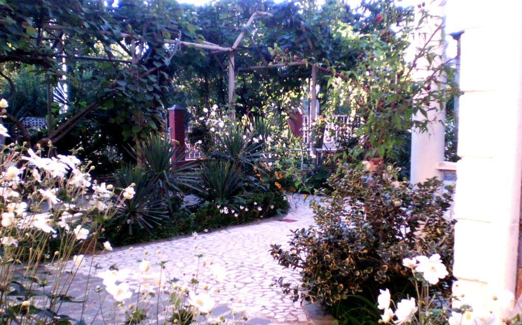 White Guest House Batum Oda fotoğraf