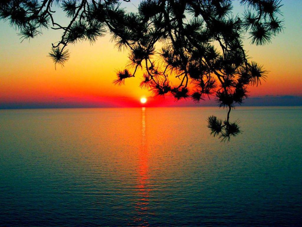 White Guest House Batum Dış mekan fotoğraf